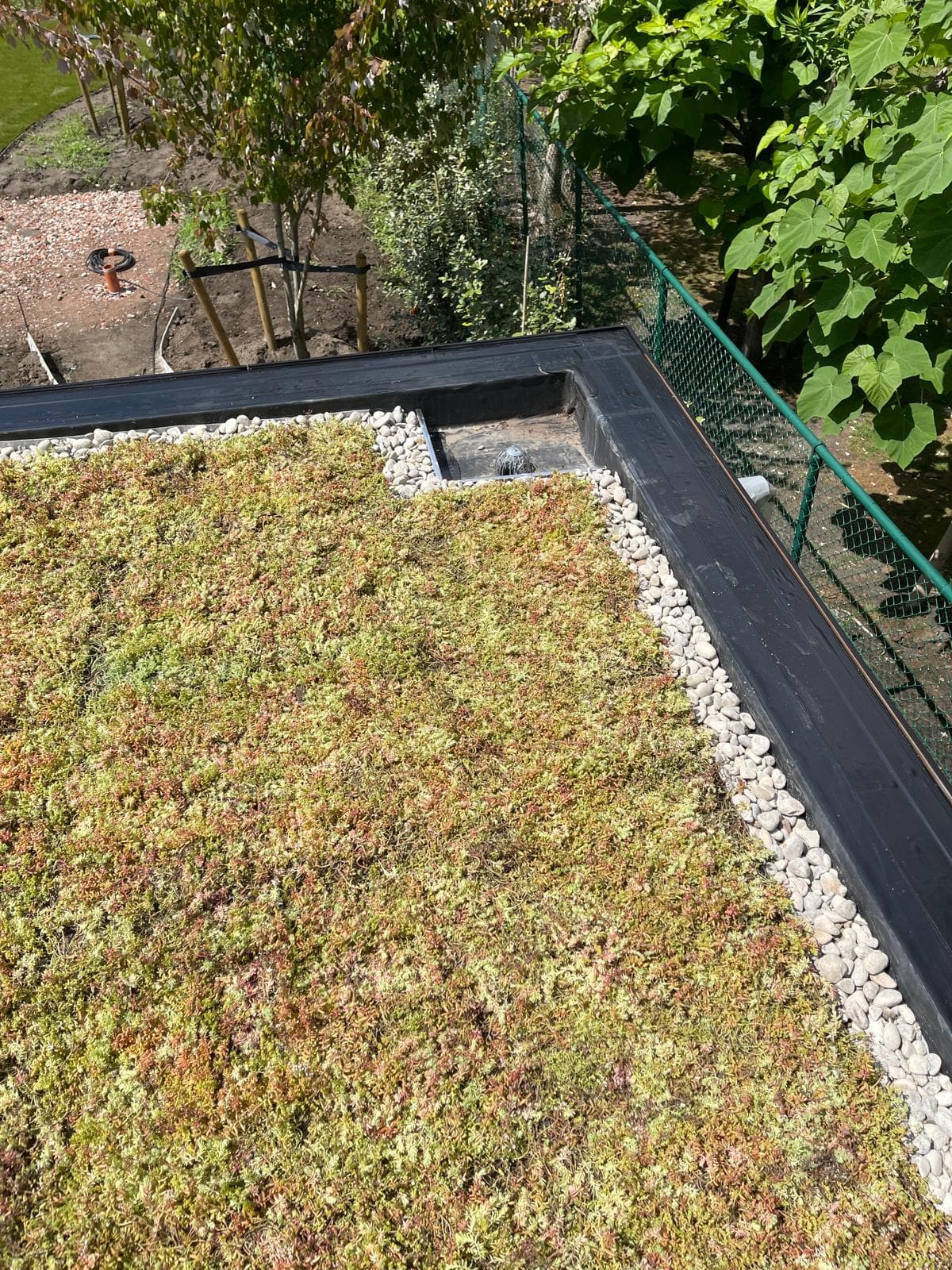 Sedum-groendak op de poolhouse